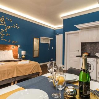 Residence Vaclavska Praha (4)