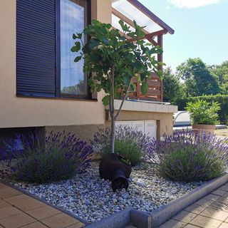 Kovács Apartmanház Balatonfüred (5)