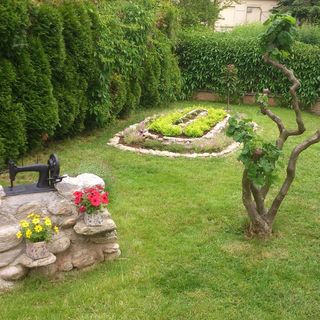 Hotel Alfa Trutnov (2)