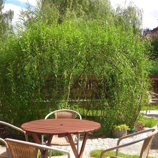 Hotel Alfa Trutnov (3)