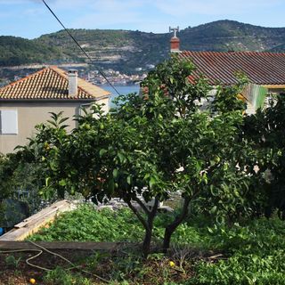 Apartmanok A Tenger Mellett Vis - 2428 (5)