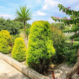 Apartmanok A Tenger Mellett Trpanj, Peljesac - 16004 Trpanj (4)