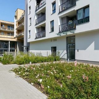 Good Time Apartments Kościelna I Poznań (4)