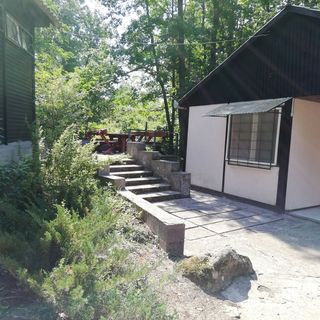 Mátrafüredi Ifjúsági Tábor Mátrafüred (3)