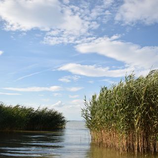 Vadszőlő Apartman Balatonmáriafürdő (3)