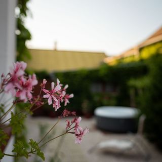 Czigler Vendégház Bátaszék (5)