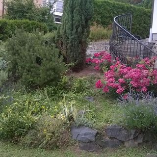 Villa Kolics Apartman Hévíz (4)