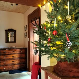 Nagymarosi Vadszőlős Vendégház Nagymaros (4)