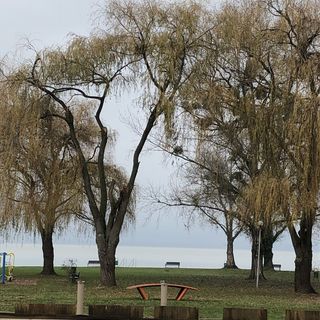 Vízparti Balaton Panzió Balatonberény (2)