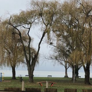 Vízparti Balaton Panzió Balatonberény (2)