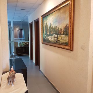 Franklin Szálló Hosszúpályi (3)