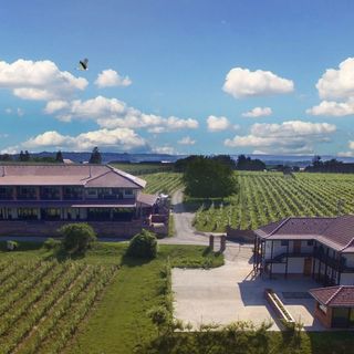 Ebner Pince Panzió Mozsgó (4)