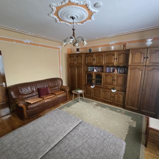 Platán Apartman Kiskunfélegyháza (4)