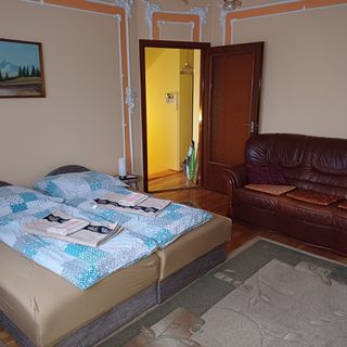 Platán Apartman Kiskunfélegyháza (5)