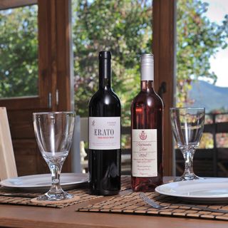 Gesztenye Vendégház Nagymaros (4)