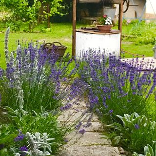 Csipke Porta Vendégház Cserépfalu (4)