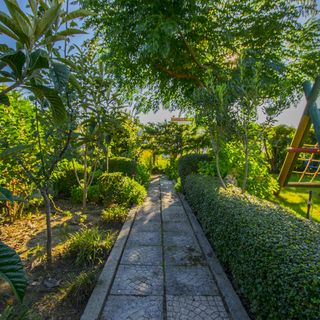 Apartments Boza Lopar (3)