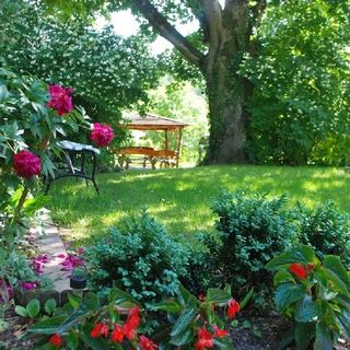 Samoniówka Nałęczów (3)