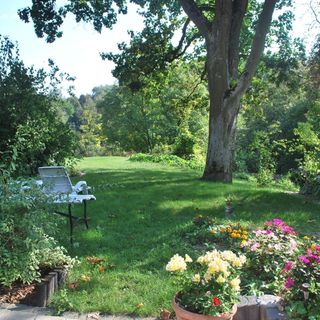 Samoniówka Nałęczów (4)