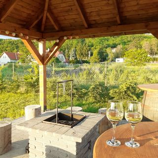 Zöldbiciklis Ház Egerszalók (4)