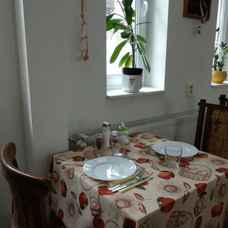 Acopark Vendégház Debrecen (5)