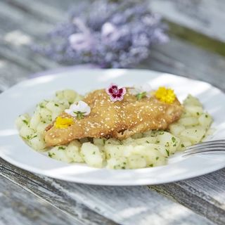 Mocz Tanya Somogyszob (5)