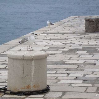 Apartmani Zuna Senj (4)