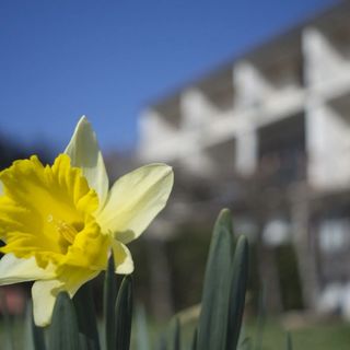 Apartments Ana Rovinj (5)