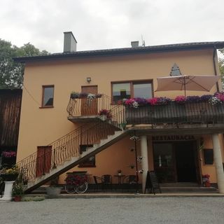 Srebrny Świerk Wambierzyce (4)