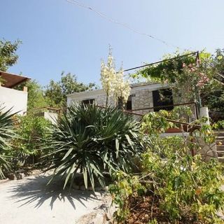 Kuća za odmor Paulo 1 Uvala Rogačić, Vis (3)