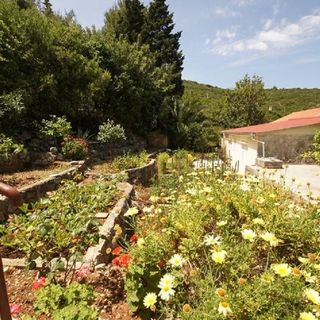 Kuća za odmor Paulo 1 Uvala Rogačić, Vis (4)