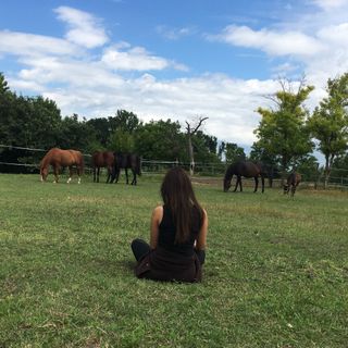 Levendula Vendégház Borsodivánka (5)