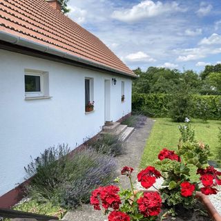 Levendula Vendégház Borsodivánka (5)