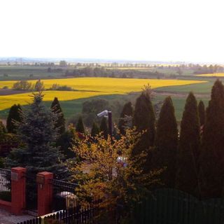 Dom Turysty Na Skarpie Malbork (4)