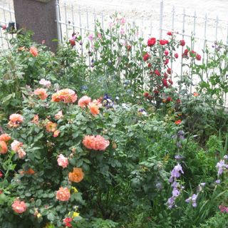 Valloris Apartments Hévíz (3)