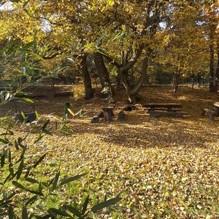 Vöröskő Vendégház Sátoraljaújhely (3)