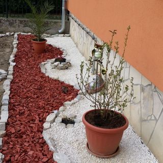 Zeg-zug Vendégház Nemesdéd (2)