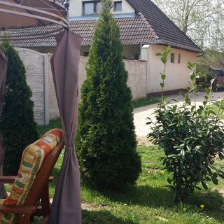 Zeg-zug Vendégház Nemesdéd (3)