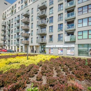 Momo apartamenty Wrocław (5)