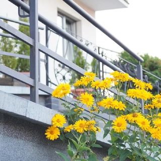 Dom Wczasowy Koral Władysławowo (4)