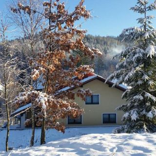 Willa Dina Wisła (5)