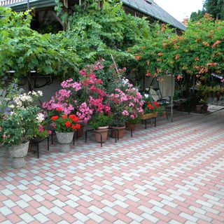 Muskátli Apartman Balatonmáriafürdő (2)