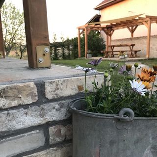 Isaszeg Apartman Isaszeg (5)