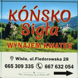 Dom Kóńsko Sigła Wisła (2)