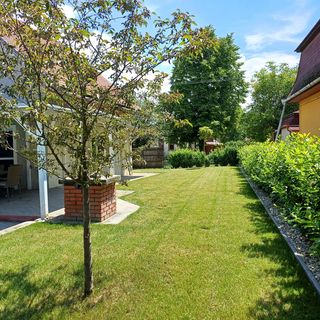 Oliva Vendégház Balatonakarattya (3)