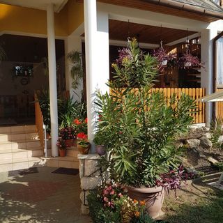 Teri Apartmanok Harkány (2)