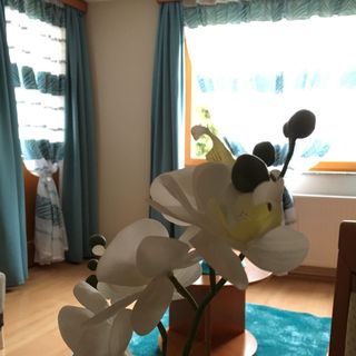 Orchidea Apartman Hegykő (3)