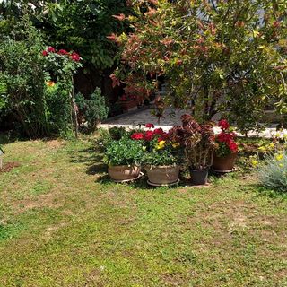 Apartman Manda Zadar (5)