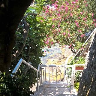 Mazina Kuća Brist (5)