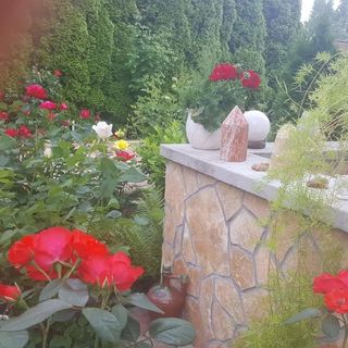 Tavirózsa Apartman Balatonfűzfő (2)